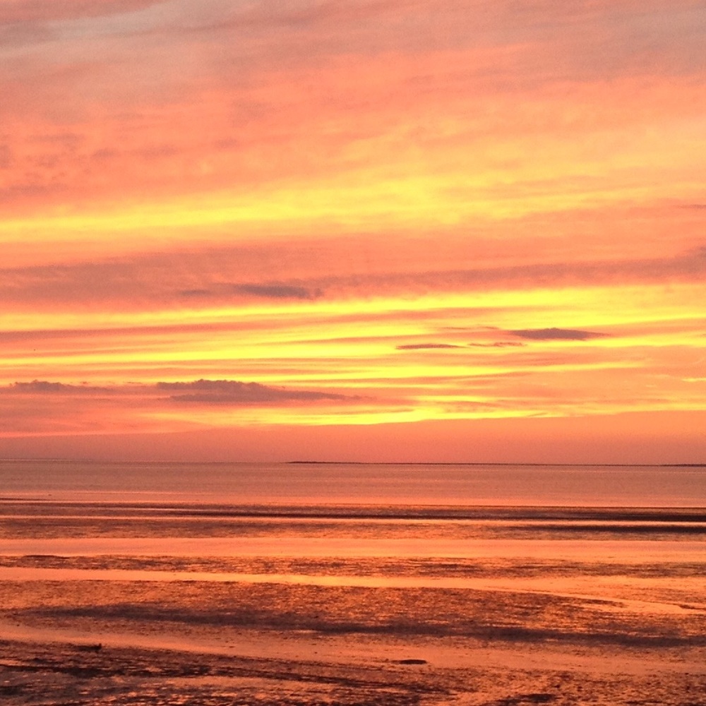 Meet your Posher, Kyra